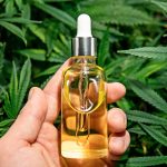 Les effets du cannabis dans l’alimentation