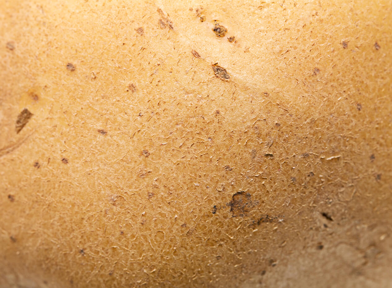 Top 5 des façons originales d’apprêter la pomme de terre