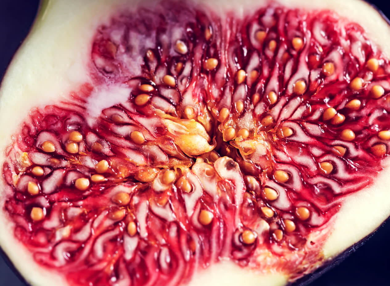 Les figues sont-elles véganes?