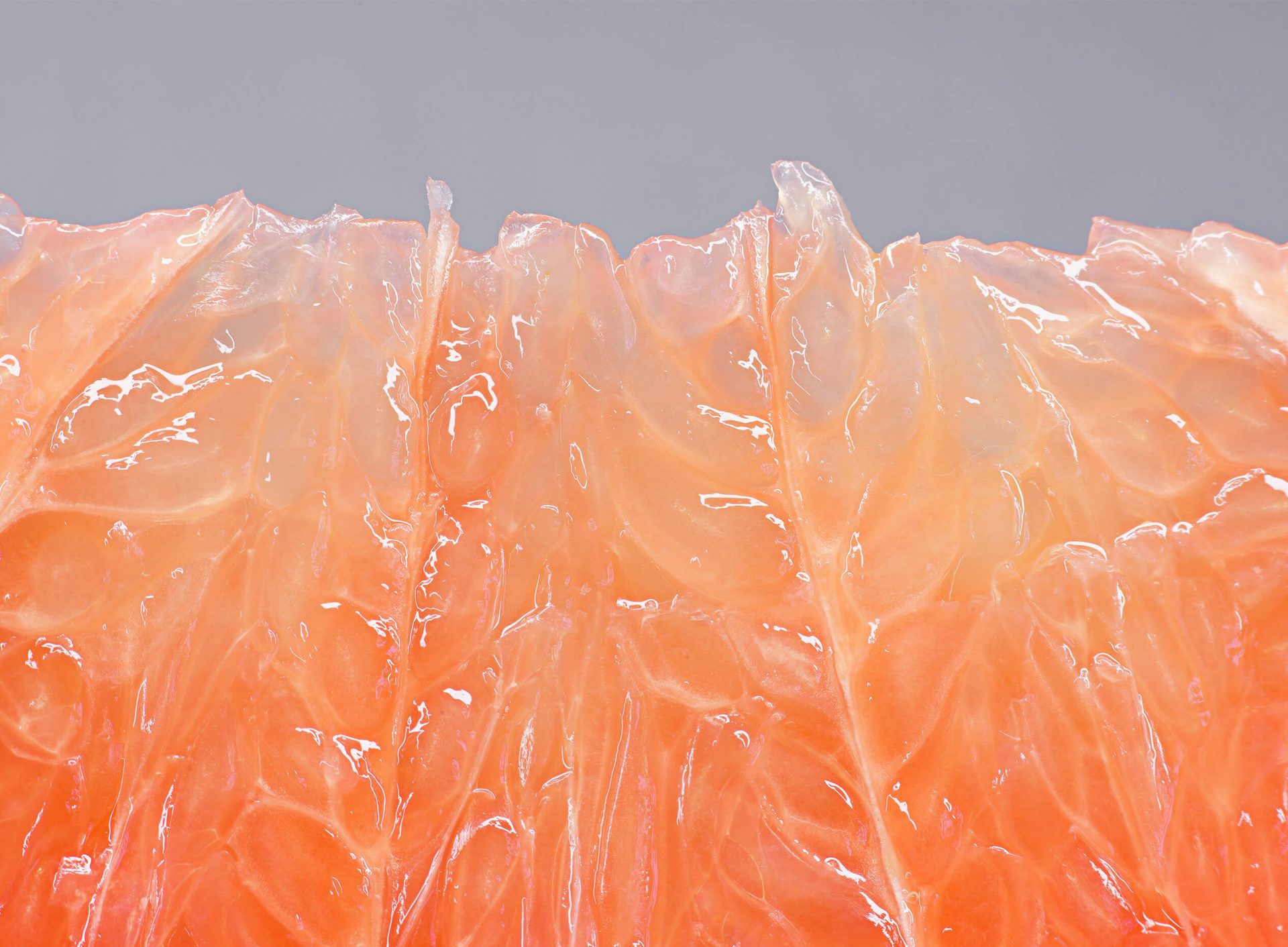 Tout sur le pamplemousse