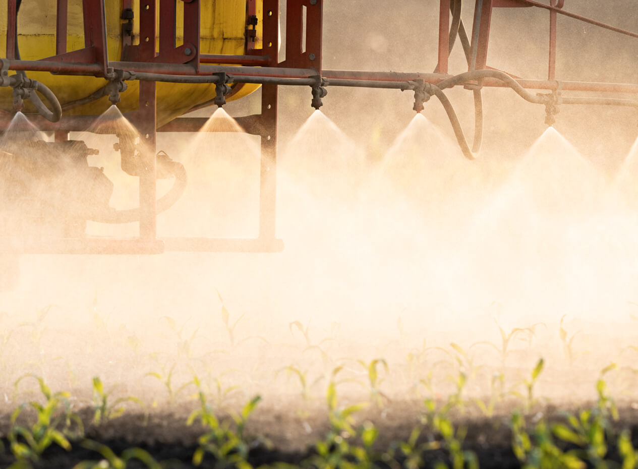 Quels sont les fruits et légumes qui contiennent le plus de pesticide