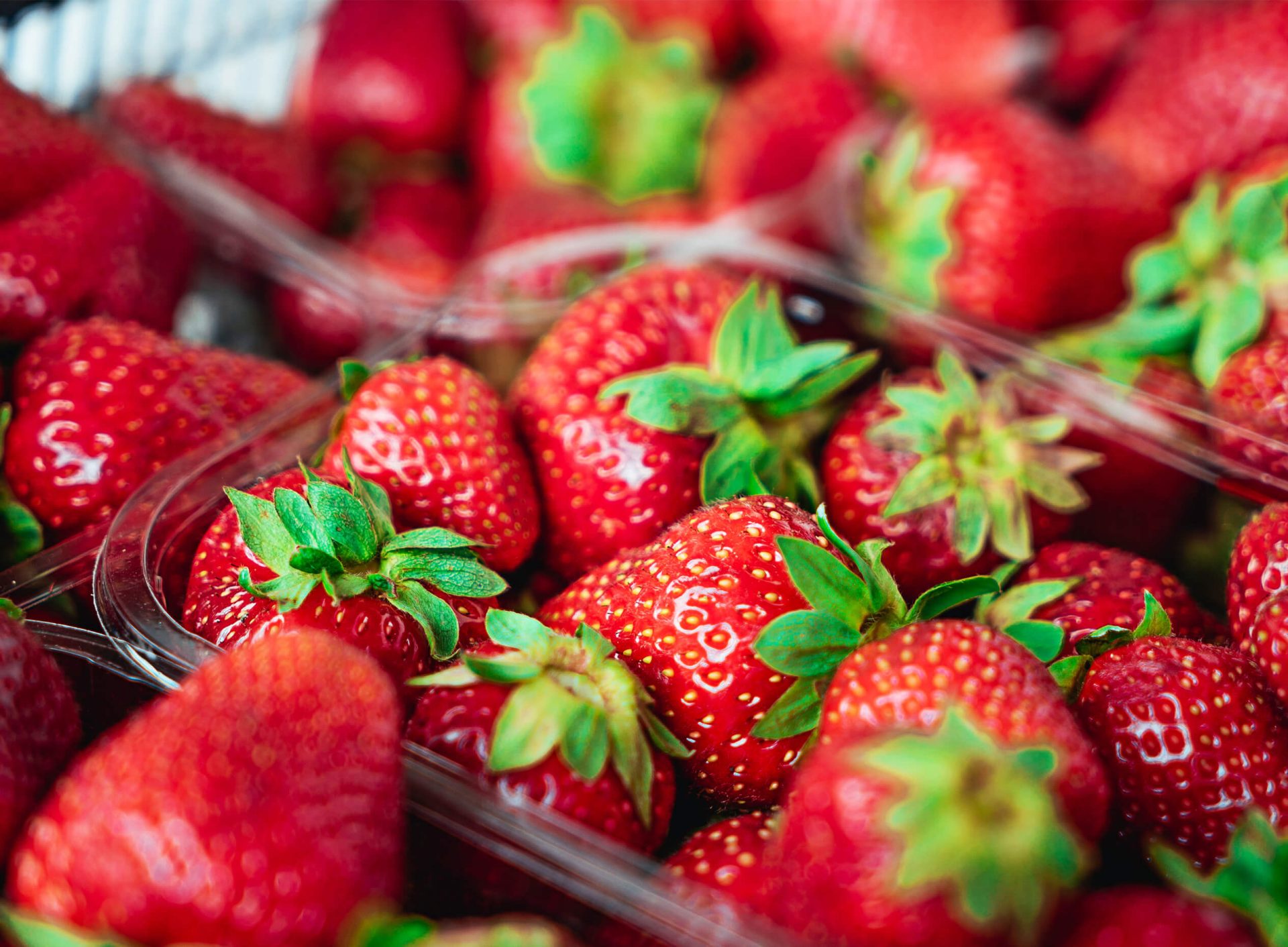 Manger local à 100 % toute l’année?