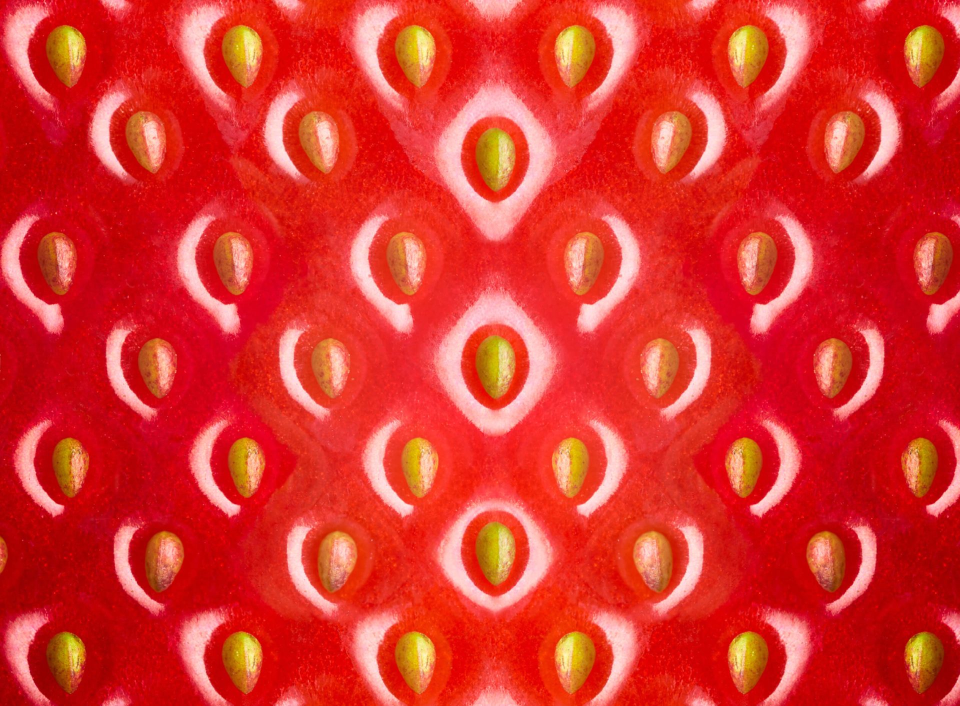 Ce qu'il faut savoir sur les fraises