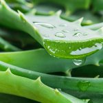 Comment faire du jus d’aloès?