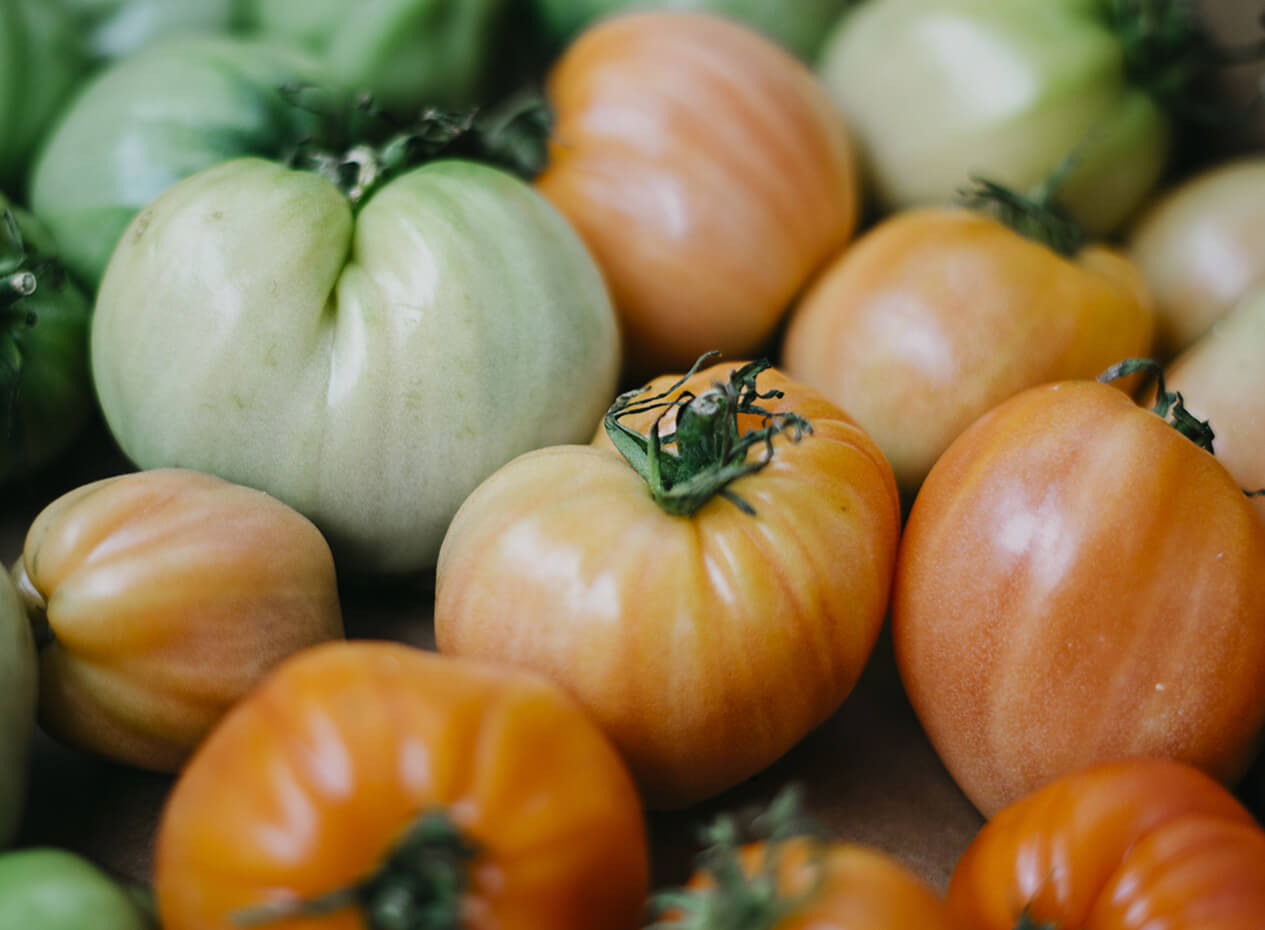 La tomate verte est-elle toxique?