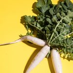 Tout sur le daikon