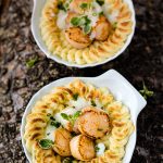 Coquilles Saint-Jacques