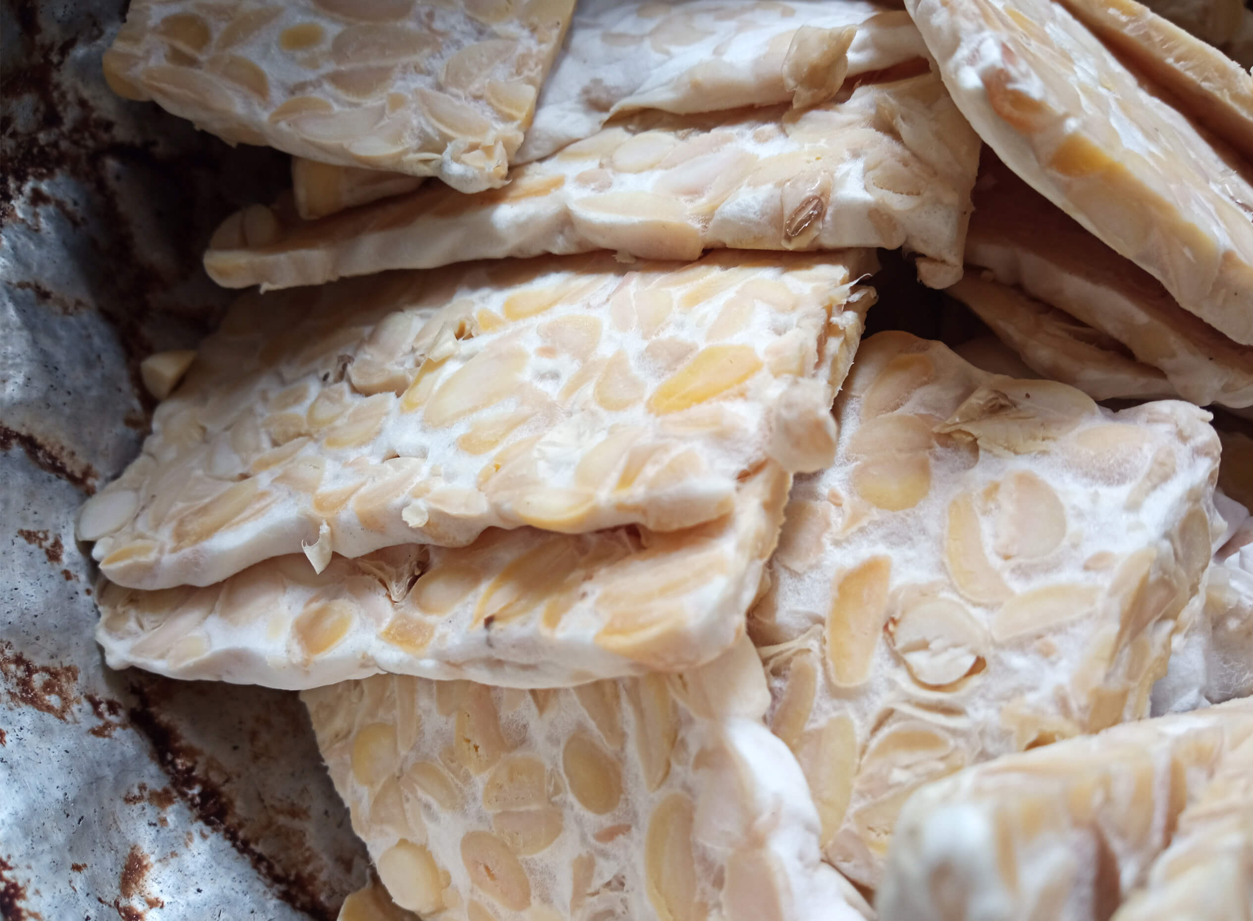 10 aliments protéinés pour varier son alimentation végétale