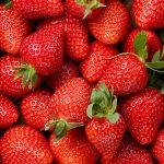 10 faits sur la fraise