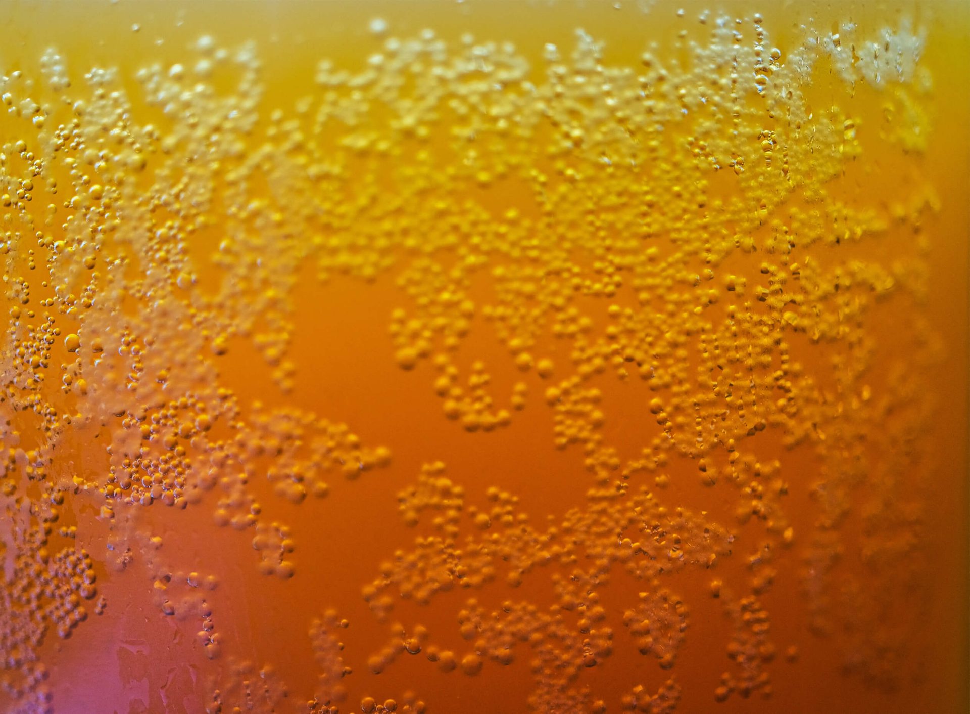 Le thé Kombucha à découvrir!