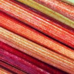 La rhubarbe, ce qu’il faut savoir