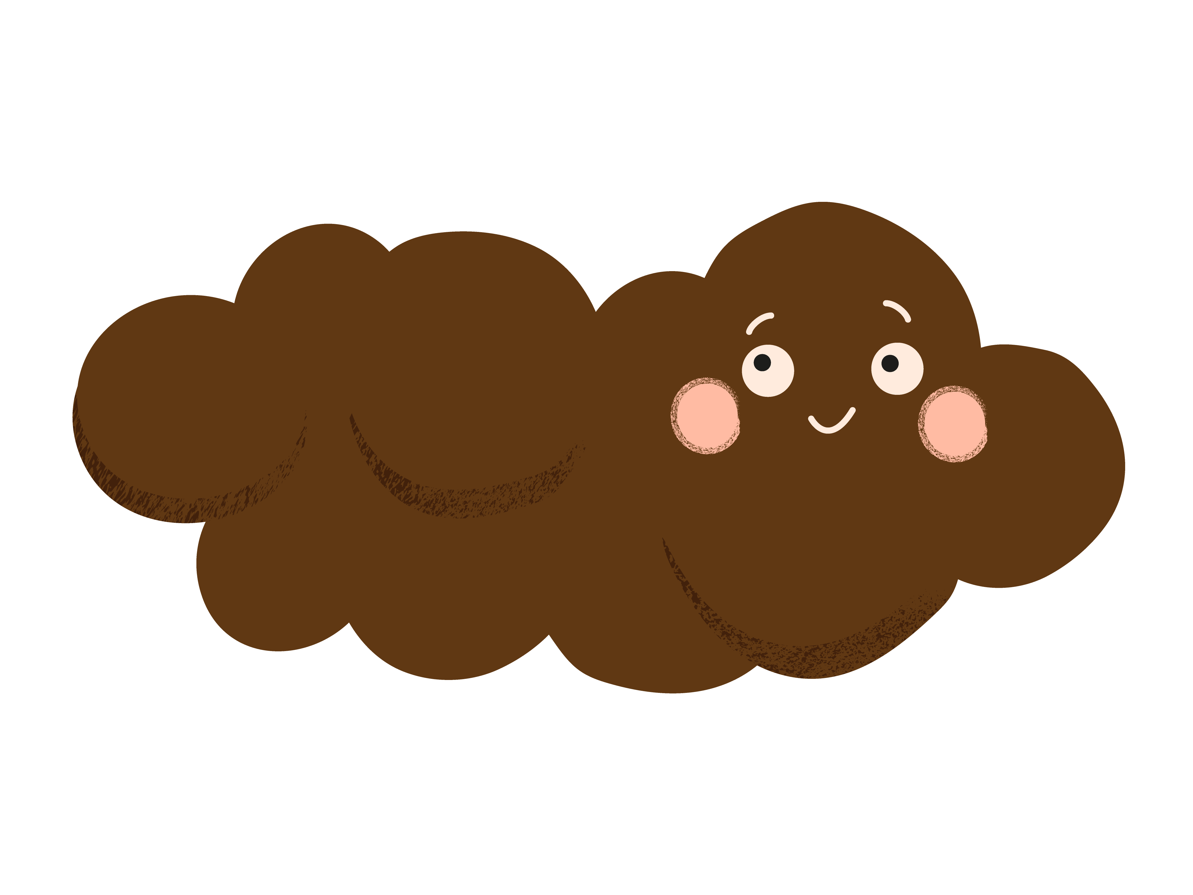 Selles échelle de Bristol type 2