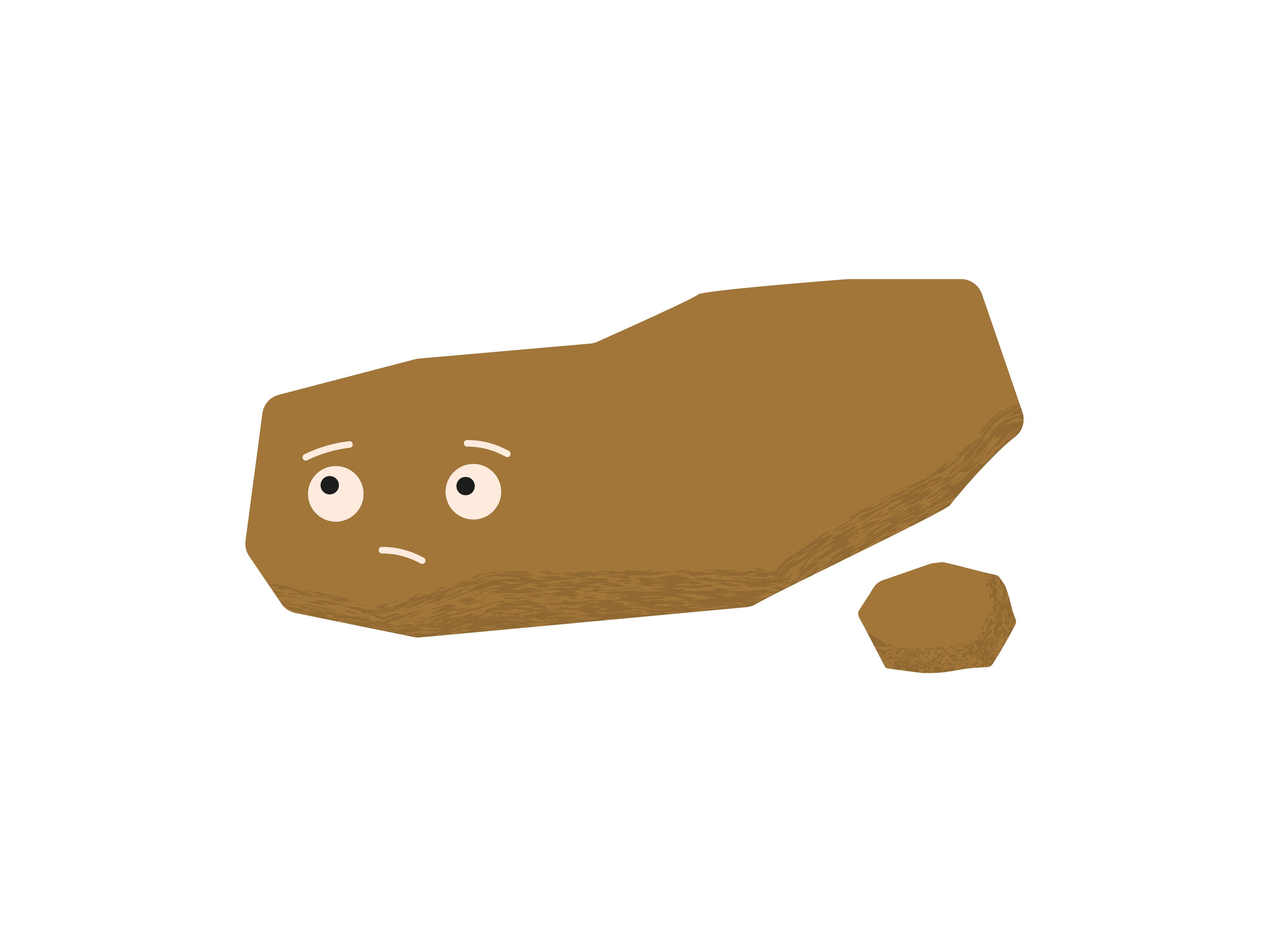 Selles échelle de Bristol type 3