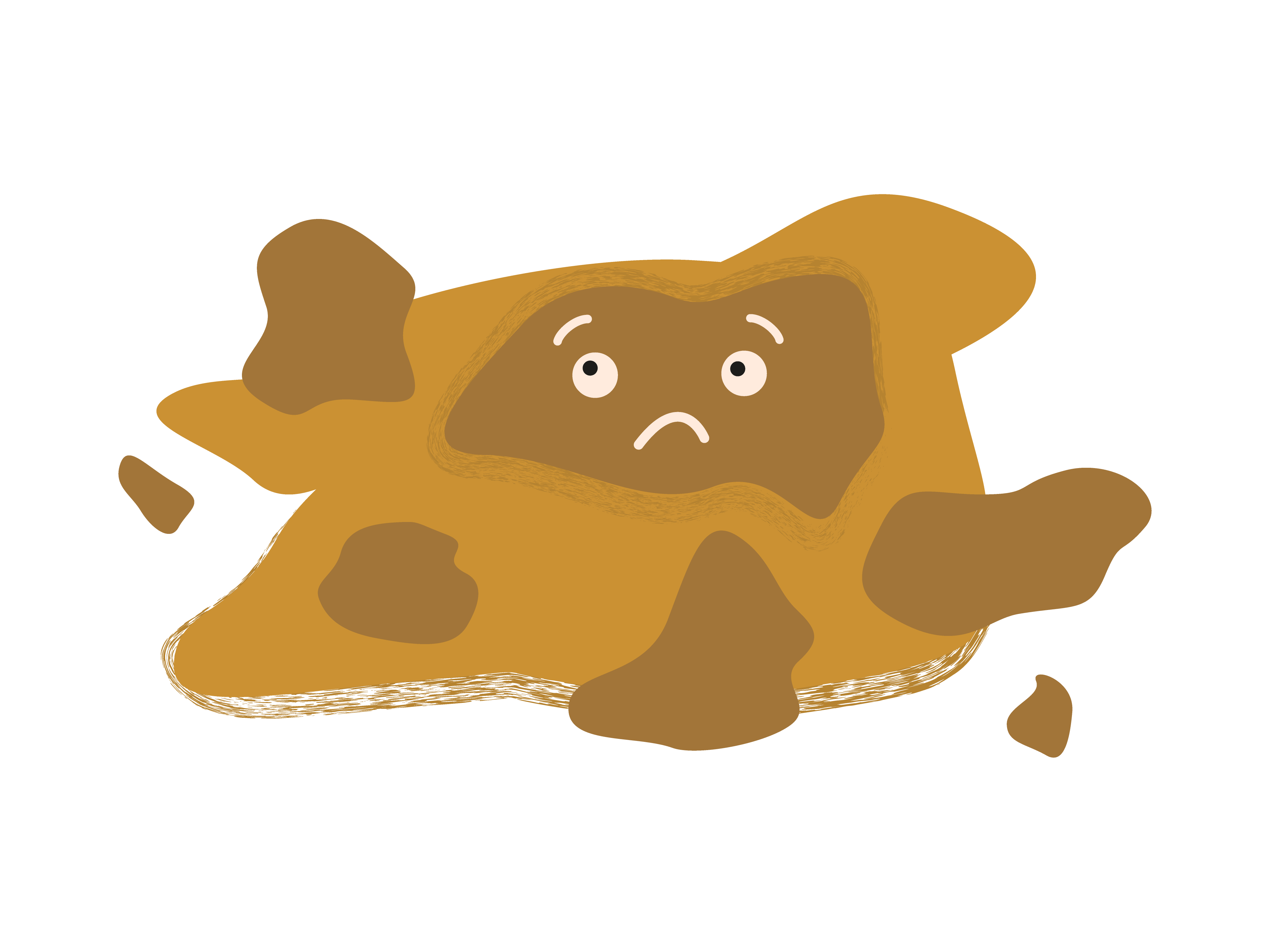 Selles échelle de Bristol type 6