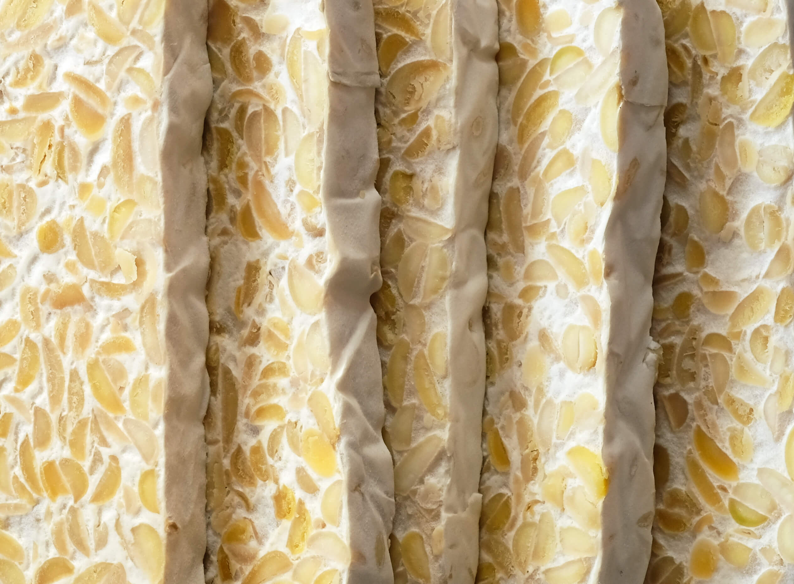 proteine-végétale-tempeh