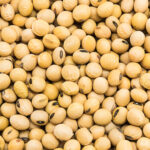 Everything You Need to Know About Soy