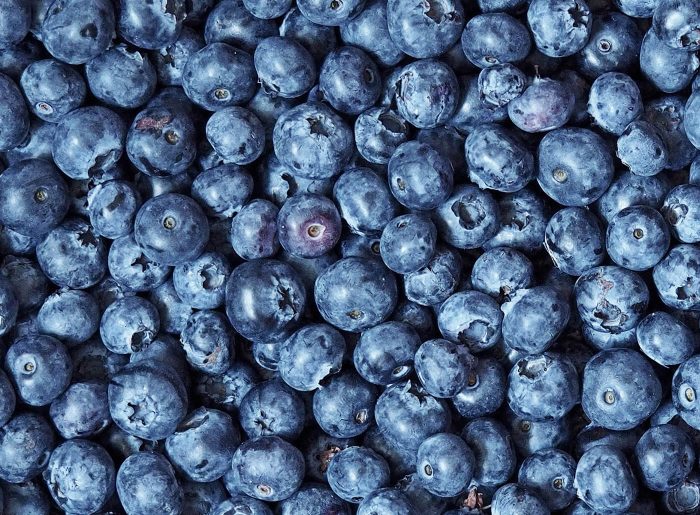 Le bleuet : valeurs nutritives, calories, bienfaits santé, recettes et utilisations