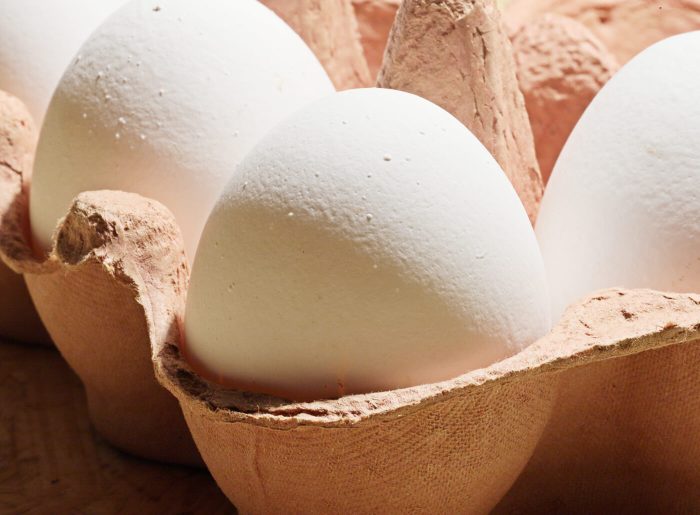 L'oeuf : valeurs nutritives, calories, bienfaits santé, recettes et utilisations