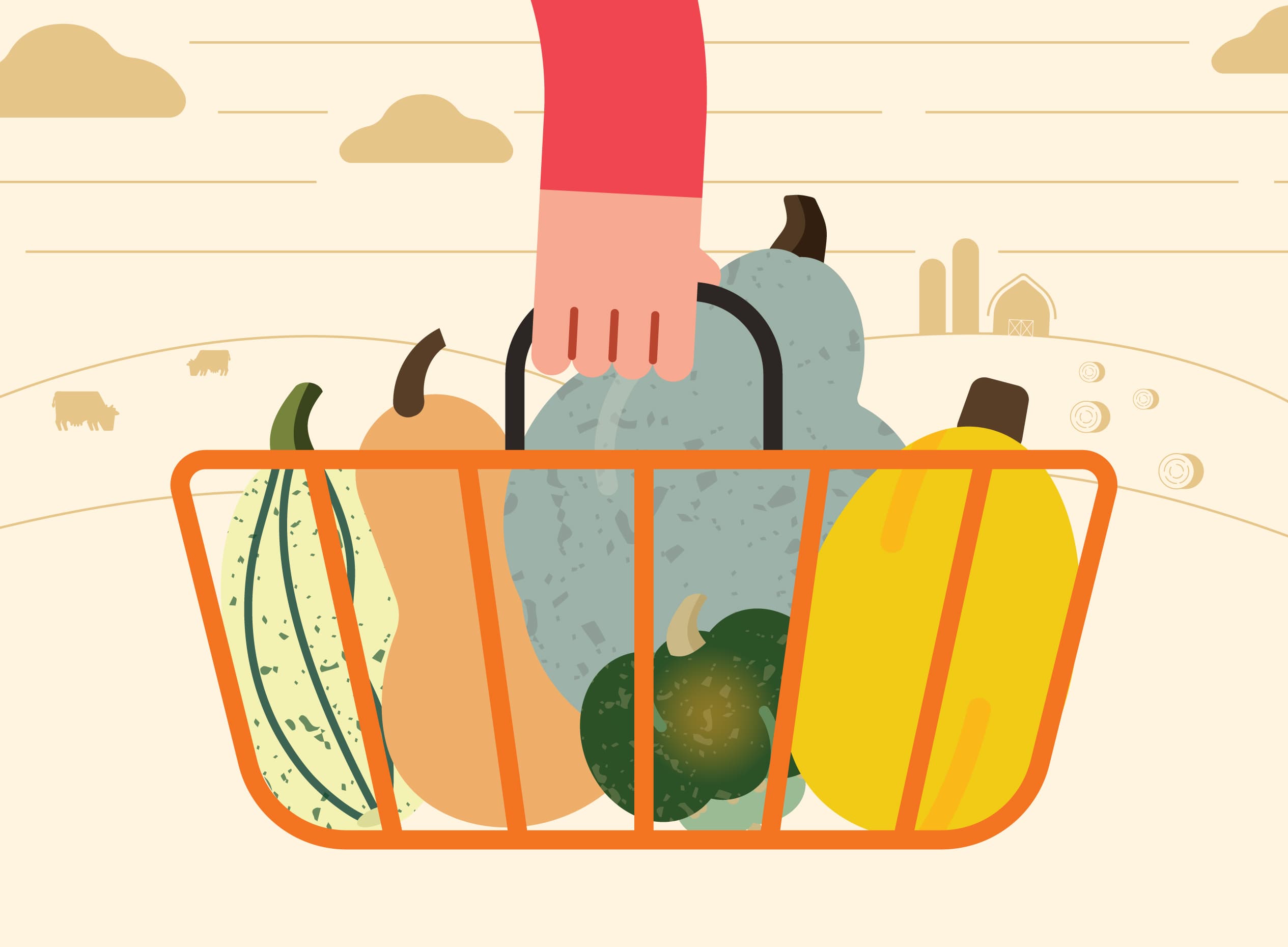 Découvre les différents types de courges