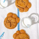 Pattes d’ours maison