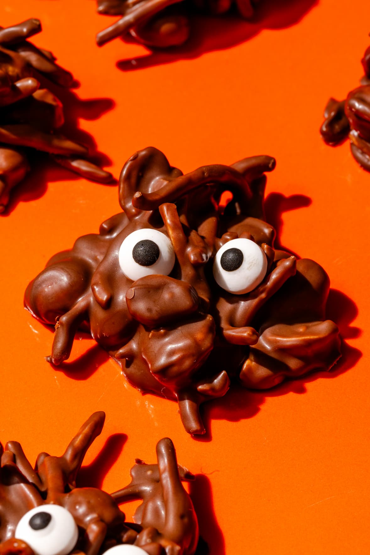 Araignée au chocolat