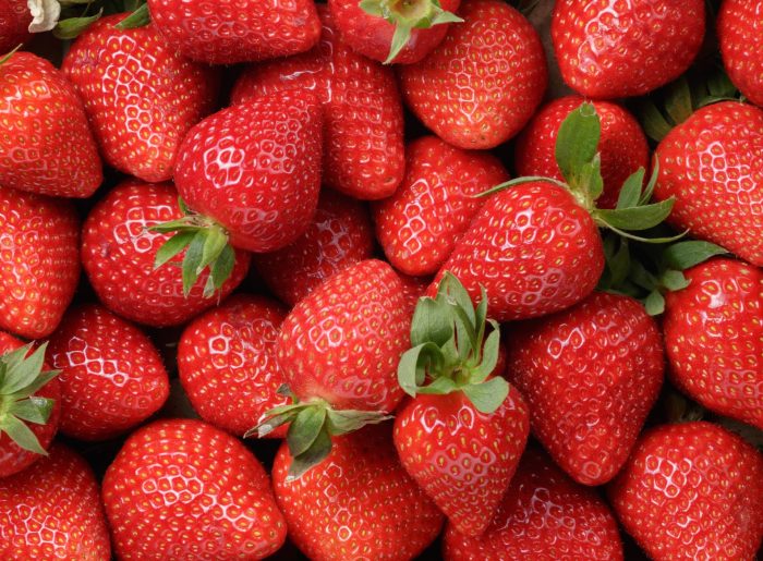 La fraise : valeurs nutritives, calories, bienfaits santé, recettes et utilisations