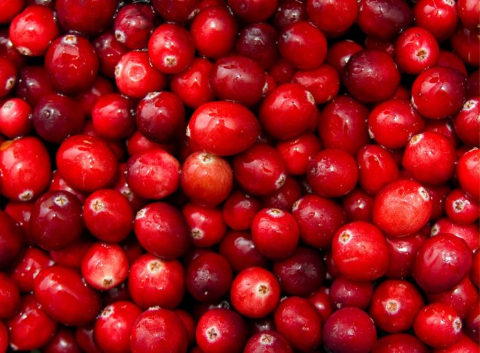 La canneberge : valeurs nutritives, calories, bienfaits santé, recettes et utilisations