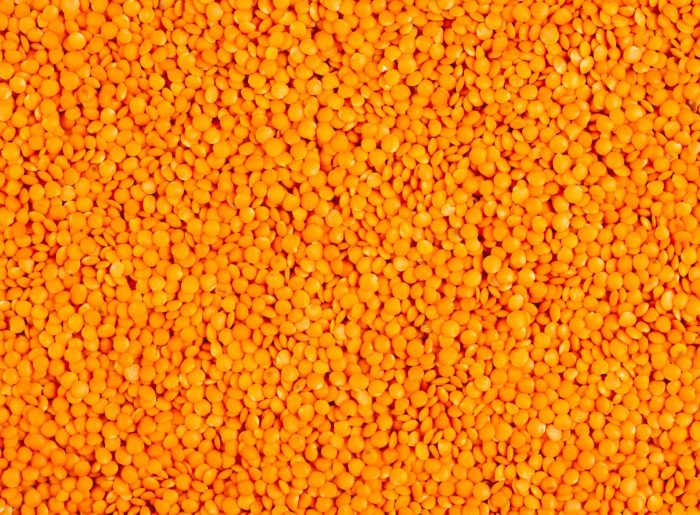 Les lentilles : valeurs nutritives, calories, bienfaits santé, recettes et utilisations