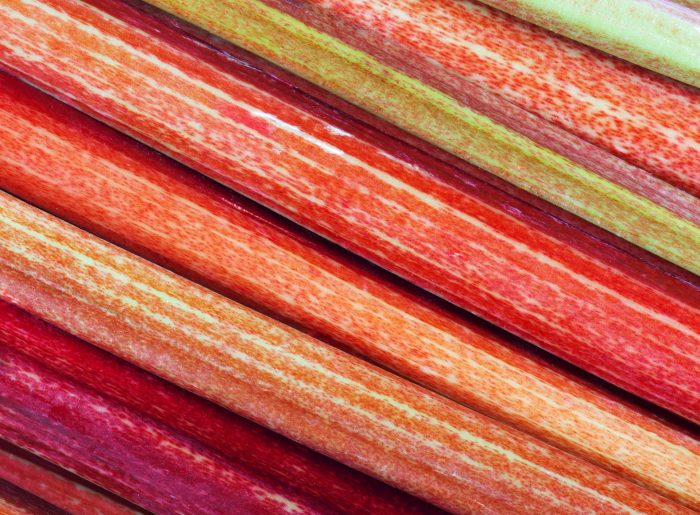 La rhubarbe : valeurs nutritives, calories, bienfaits santé, recettes et utilisations