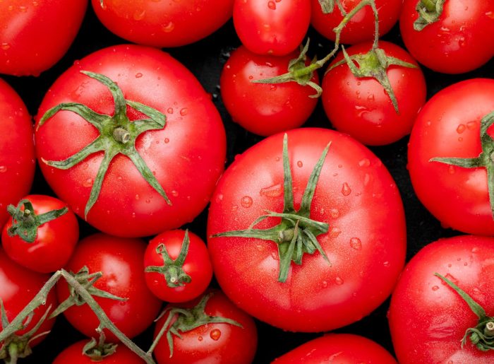 La tomate : valeurs nutritives, calories, bienfaits santé, recettes et utilisations