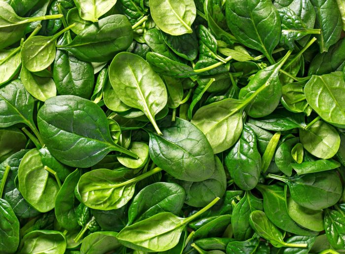 L'épinard : valeurs nutritives, calories, bienfaits santé, recettes et utilisations