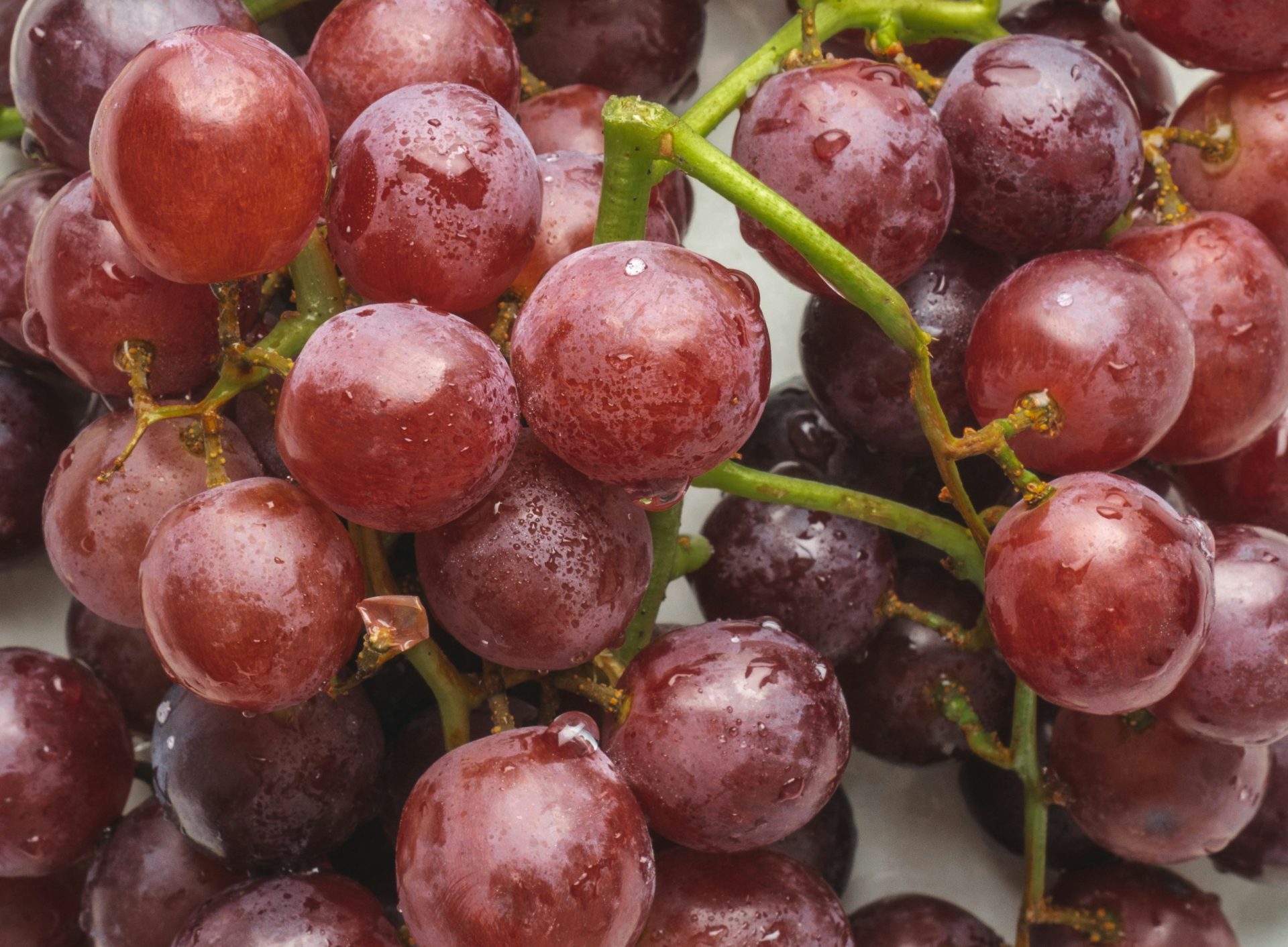 Raisin | Bon pour toi : Bon pour toi