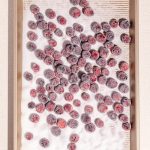 Canneberges givrées