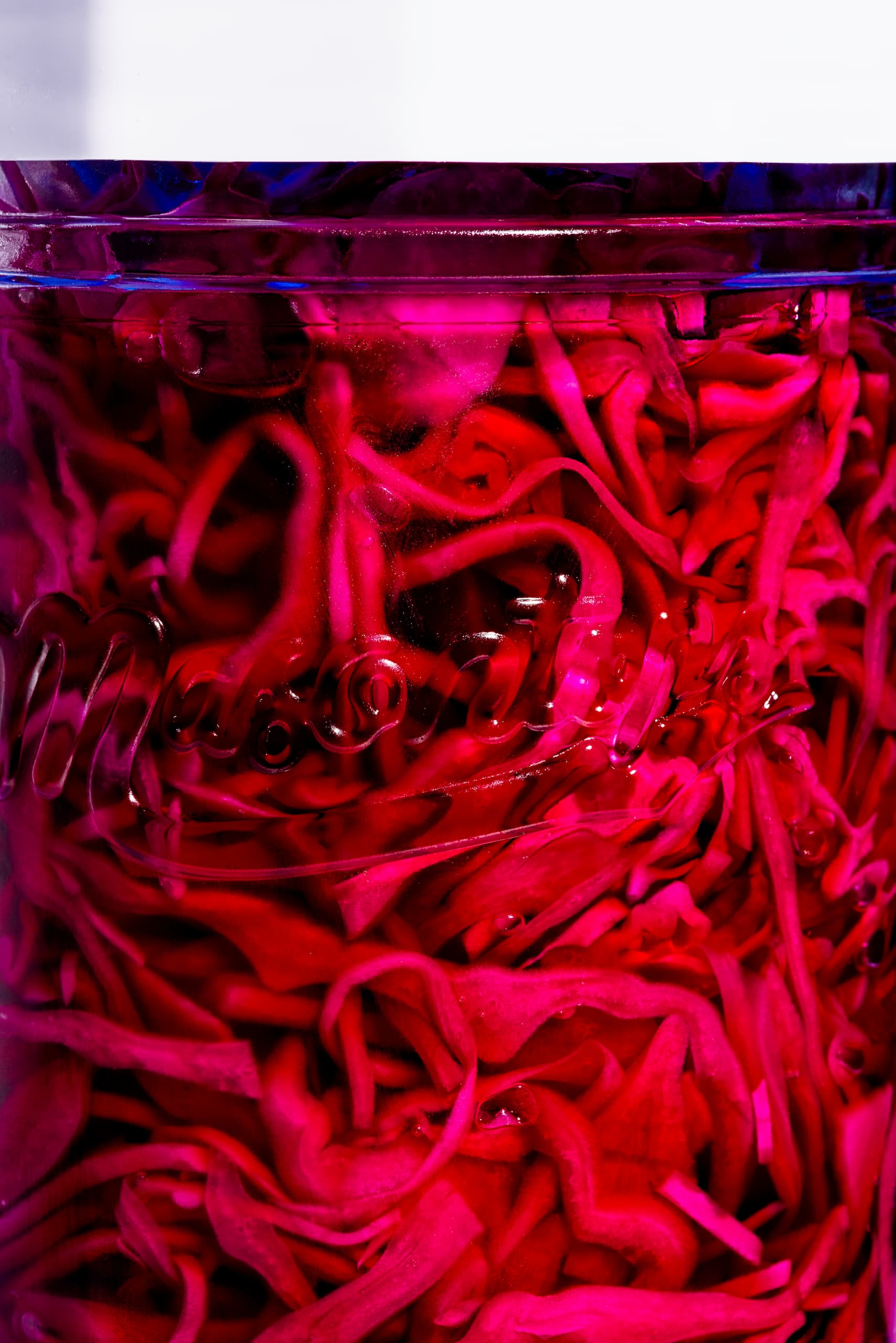 Chou rouge mariné maison acidulé et croquant dans un bocal en verre