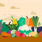 Bio ou conventionnel : est-ce que ça change vraiment quelque chose pour ta santé?