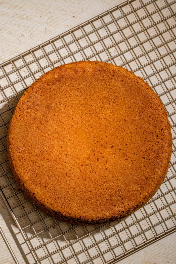 Gâteau éponge à la vanille à la mie moelleuse et aérienne, dessert maison facile