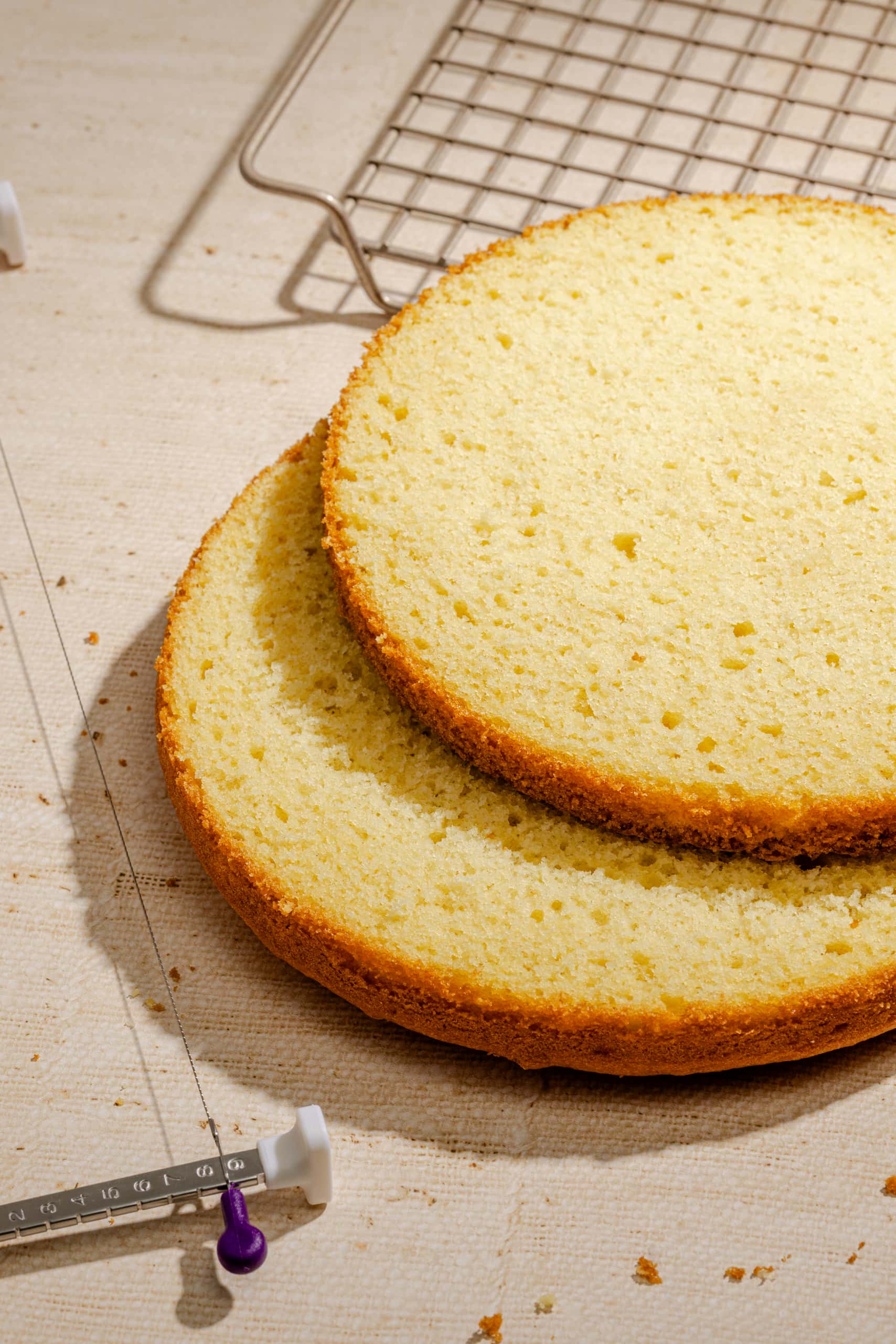 Gâteau éponge à la vanille à la mie moelleuse et aérienne, dessert maison facile