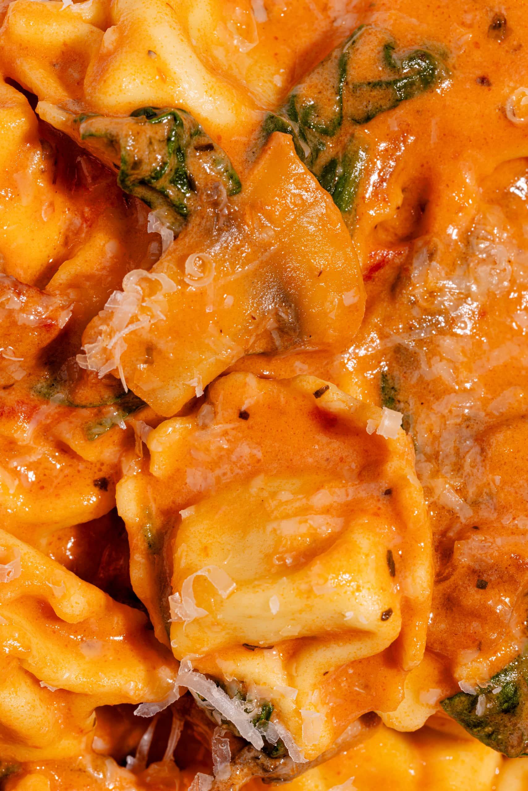 Tortellinis sauce rosée crémeux aux tomates séchées, champignons et parmesan dans une assiette
