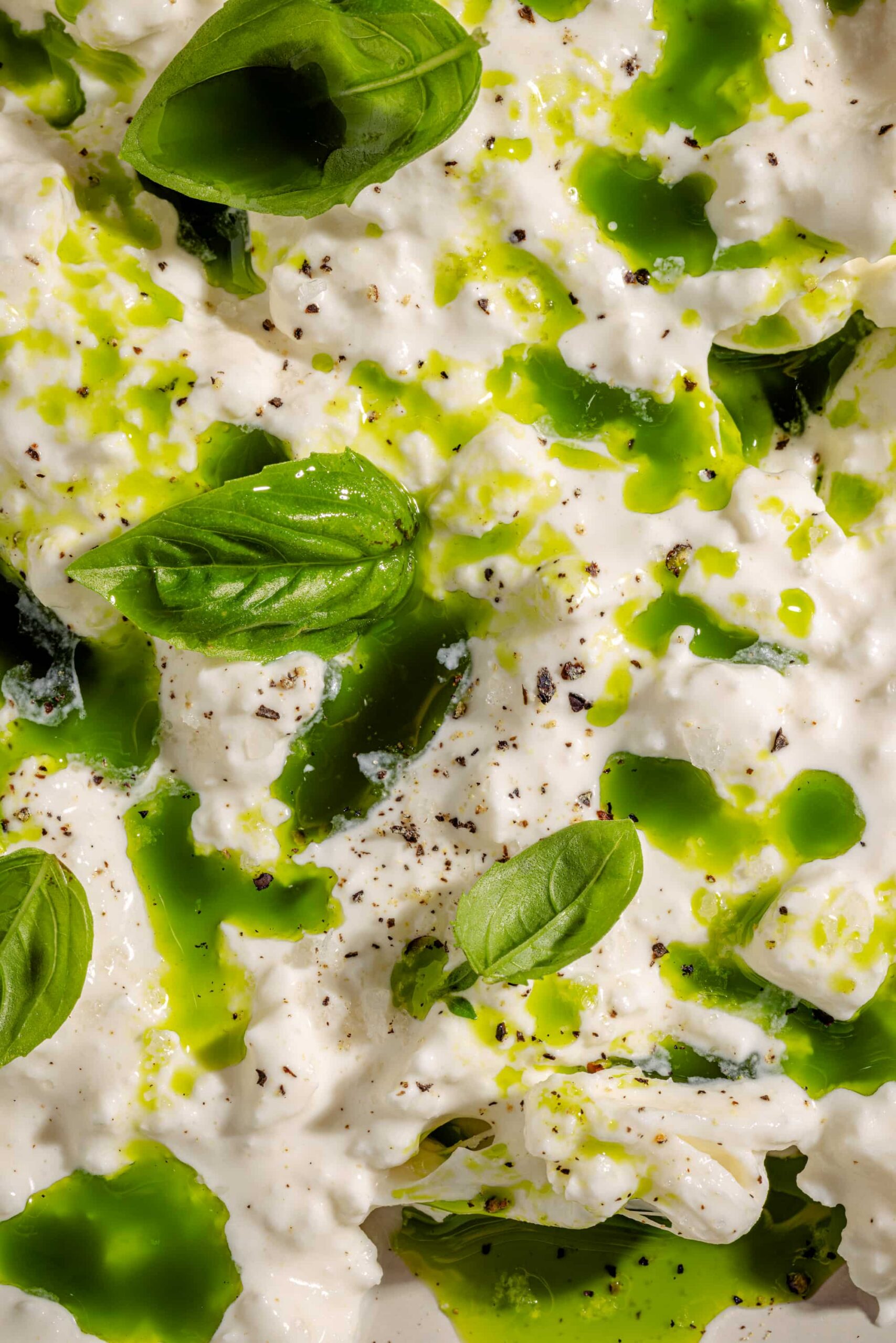 Petite bouteille d'huile au basilic frais maison vert éclatant