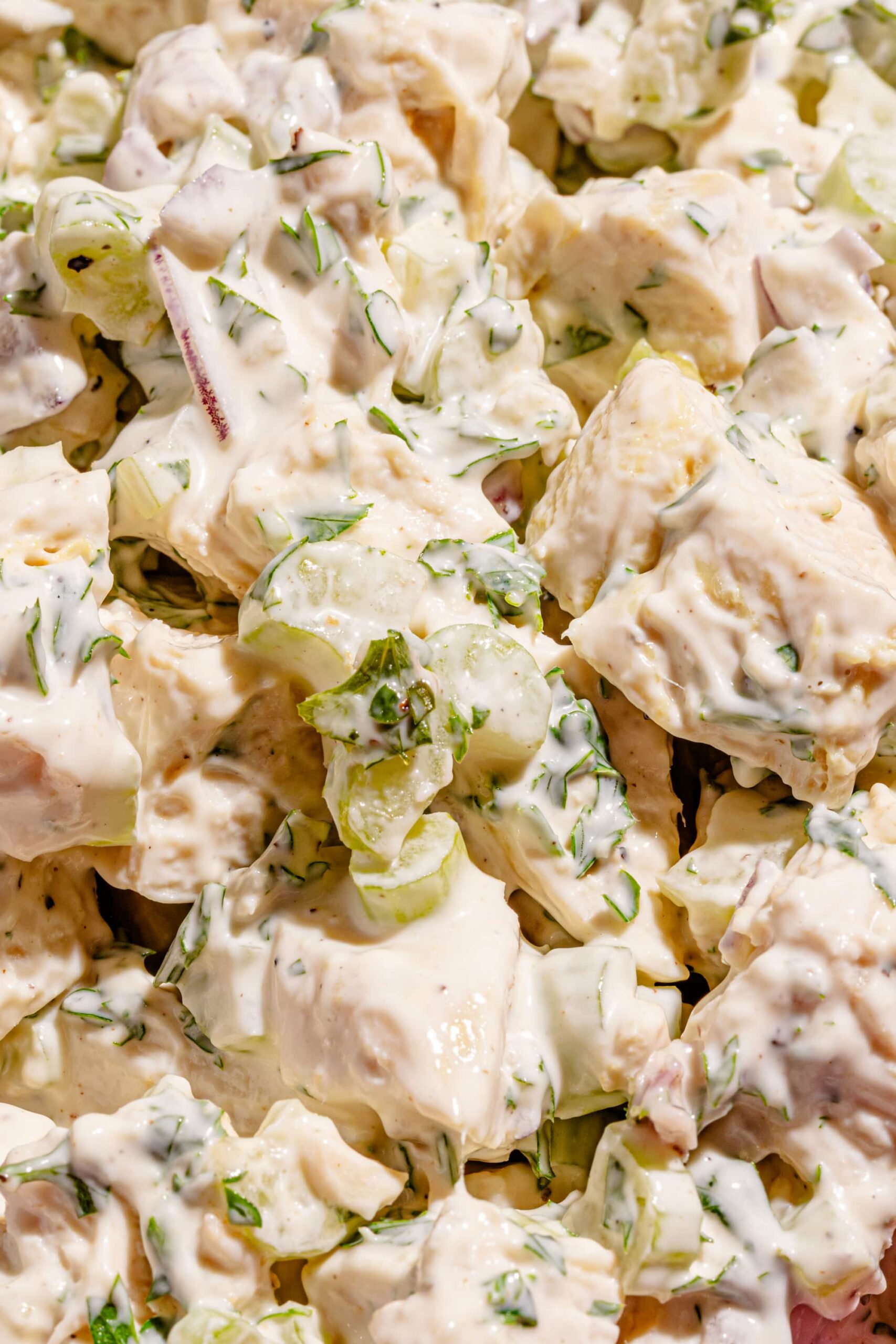 Assiette de salade de poulet traditionnelle à la mayonnaise